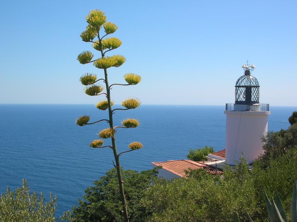Apartament Antic Plankton - Calella Palafrugell - Free Parking, Beach, Wifi, Perfect Holidays Calella De Palafrugell Exterior foto